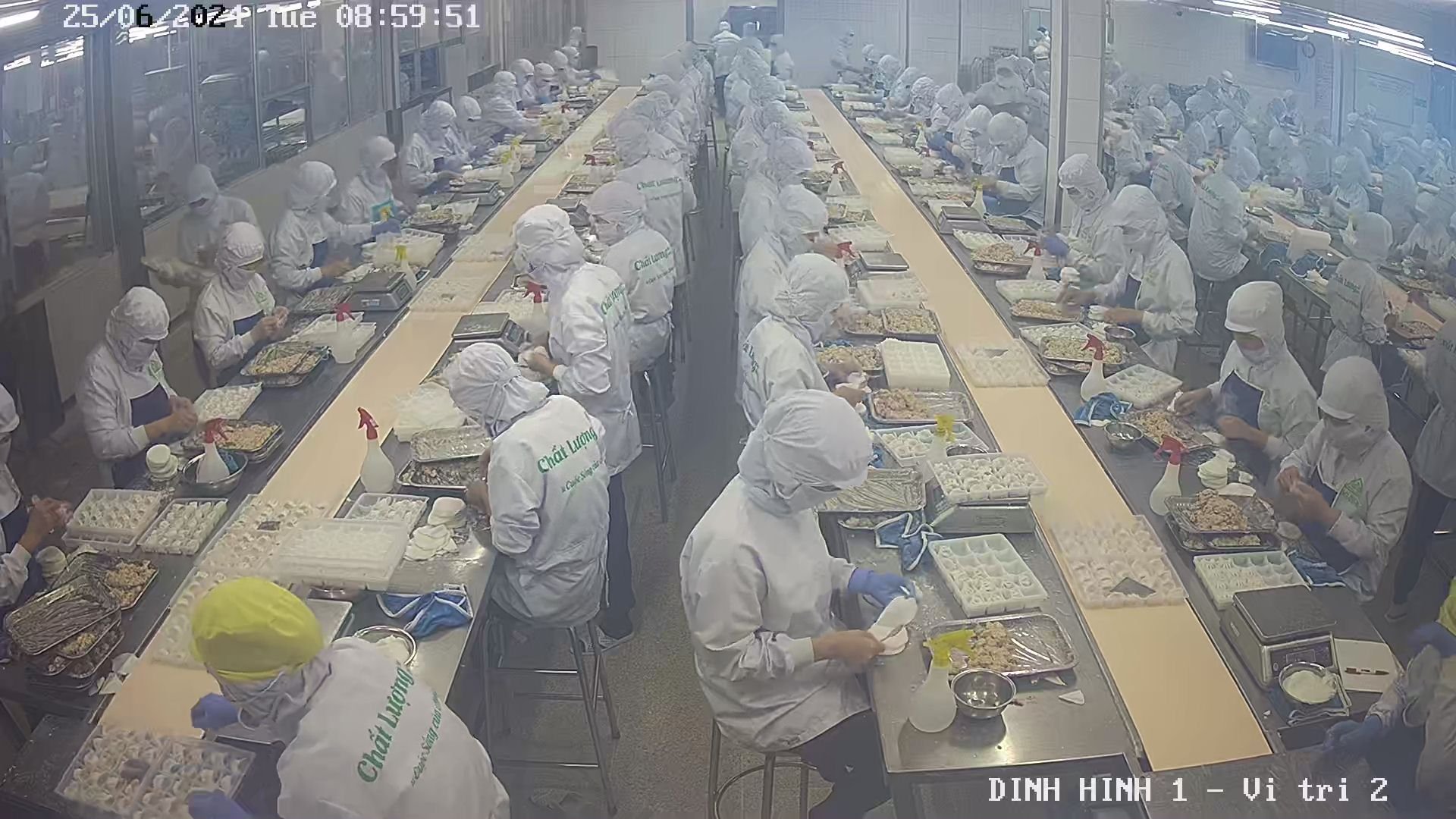 lĩnh vực hoạt động